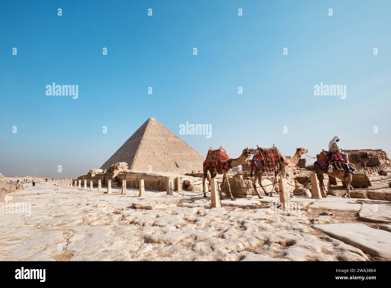 Giza, Egypt - December 24 2023: The Great Pyramid Khufu (Pyramid of Cheops) is the oldest and largest of the three pyramids in the Giza and camels Stock Photo