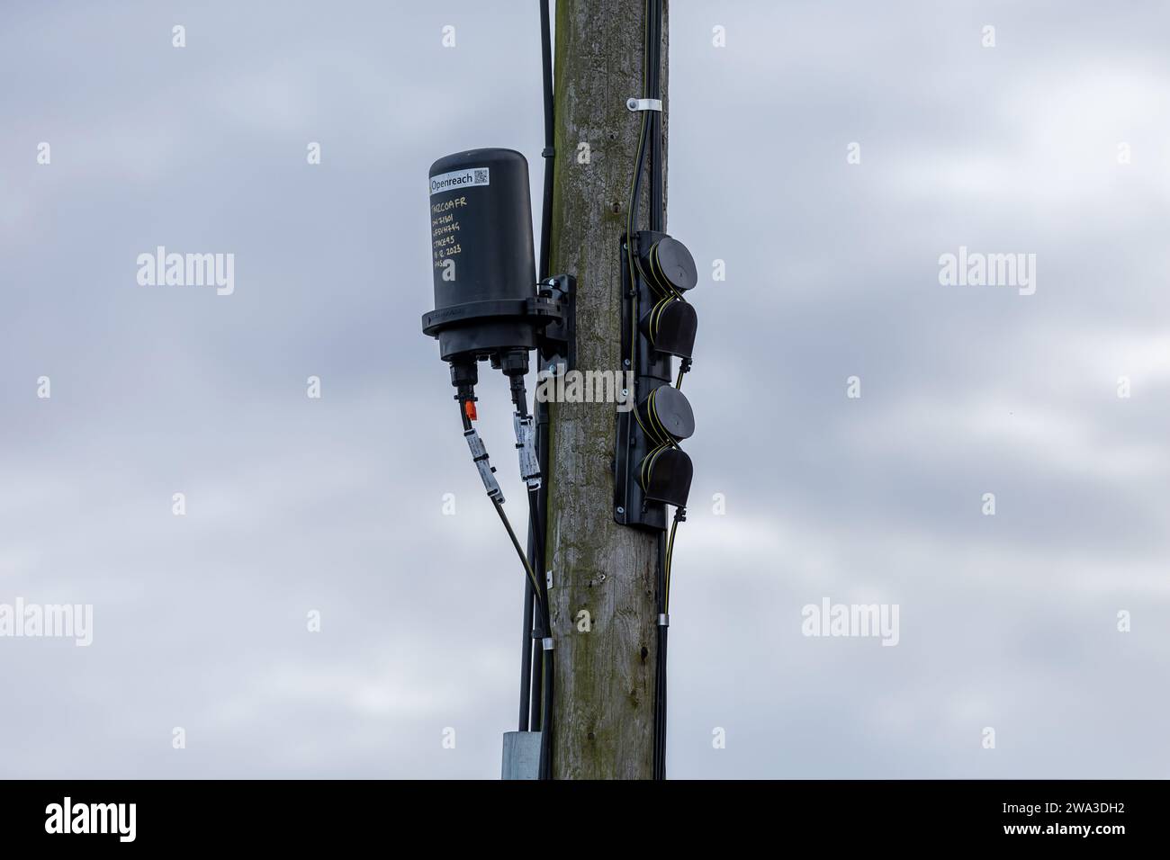 BT Openreach Utility Pole with Fibre to the premises (FTTP) equipment Stock Photo Alamy