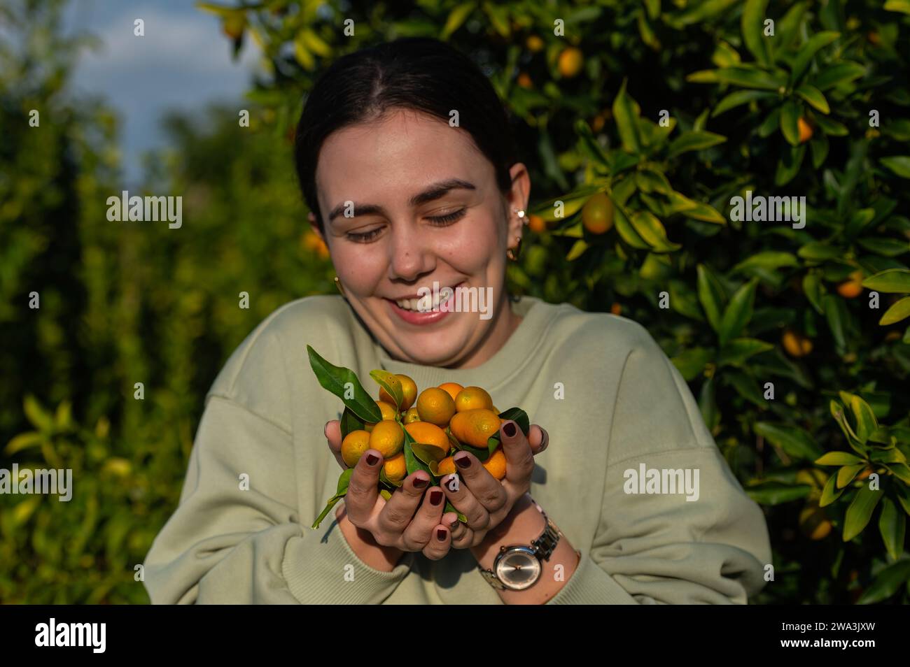 The young girl holding the kumquats in her palm Stock Photo Alamy