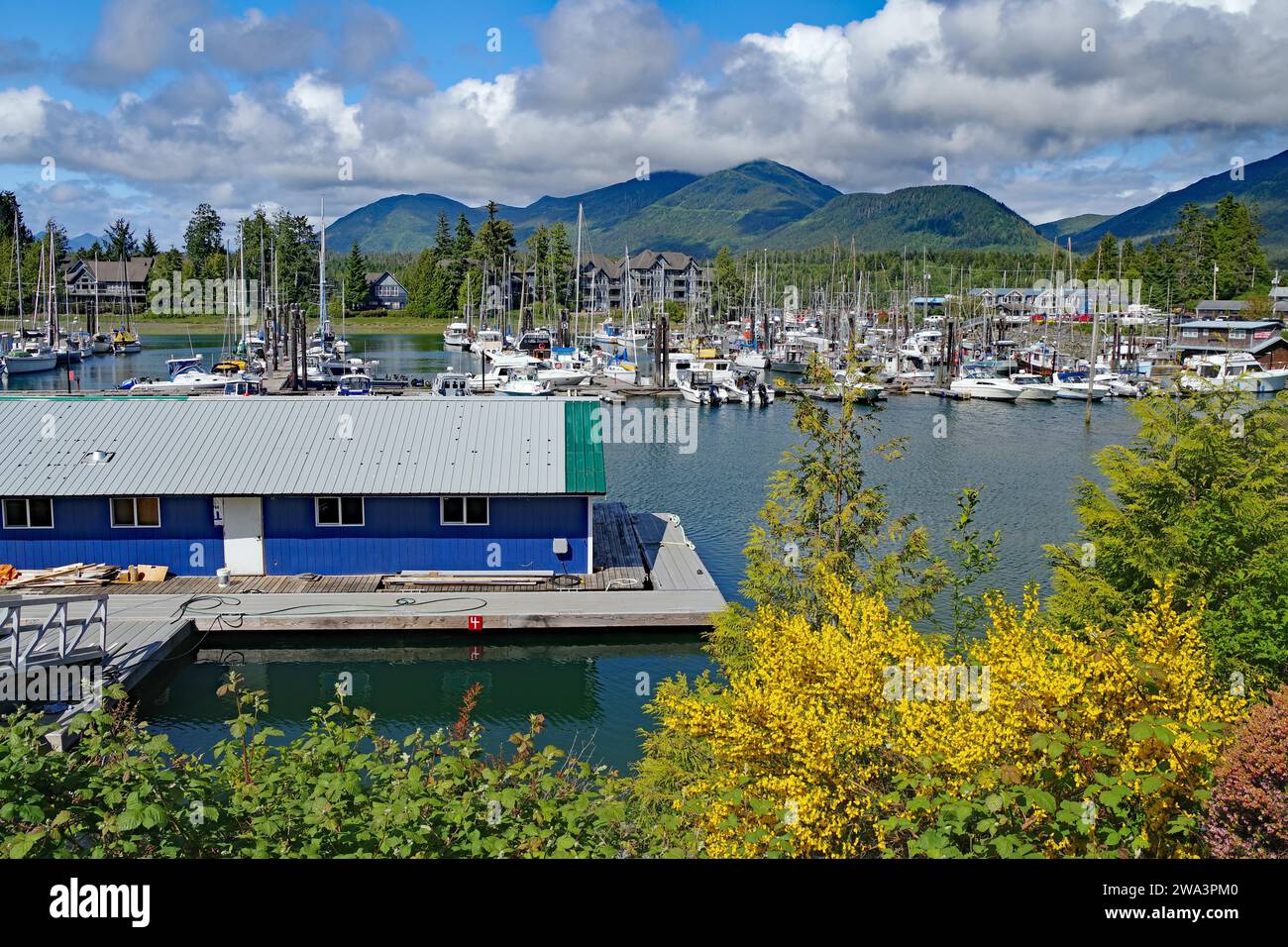 Small boat harbour in spring, good weather, Ucluelet, Pacific Rim National Park, Vancouver Island, British Columbia, Canada, North America Stock Photo