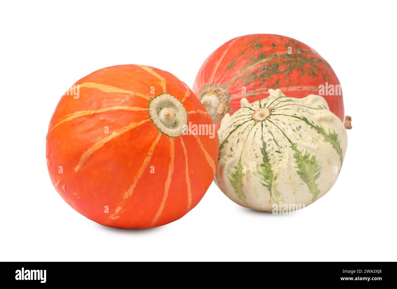 Different fresh ripe pumpkins isolated on white Stock Photo - Alamy