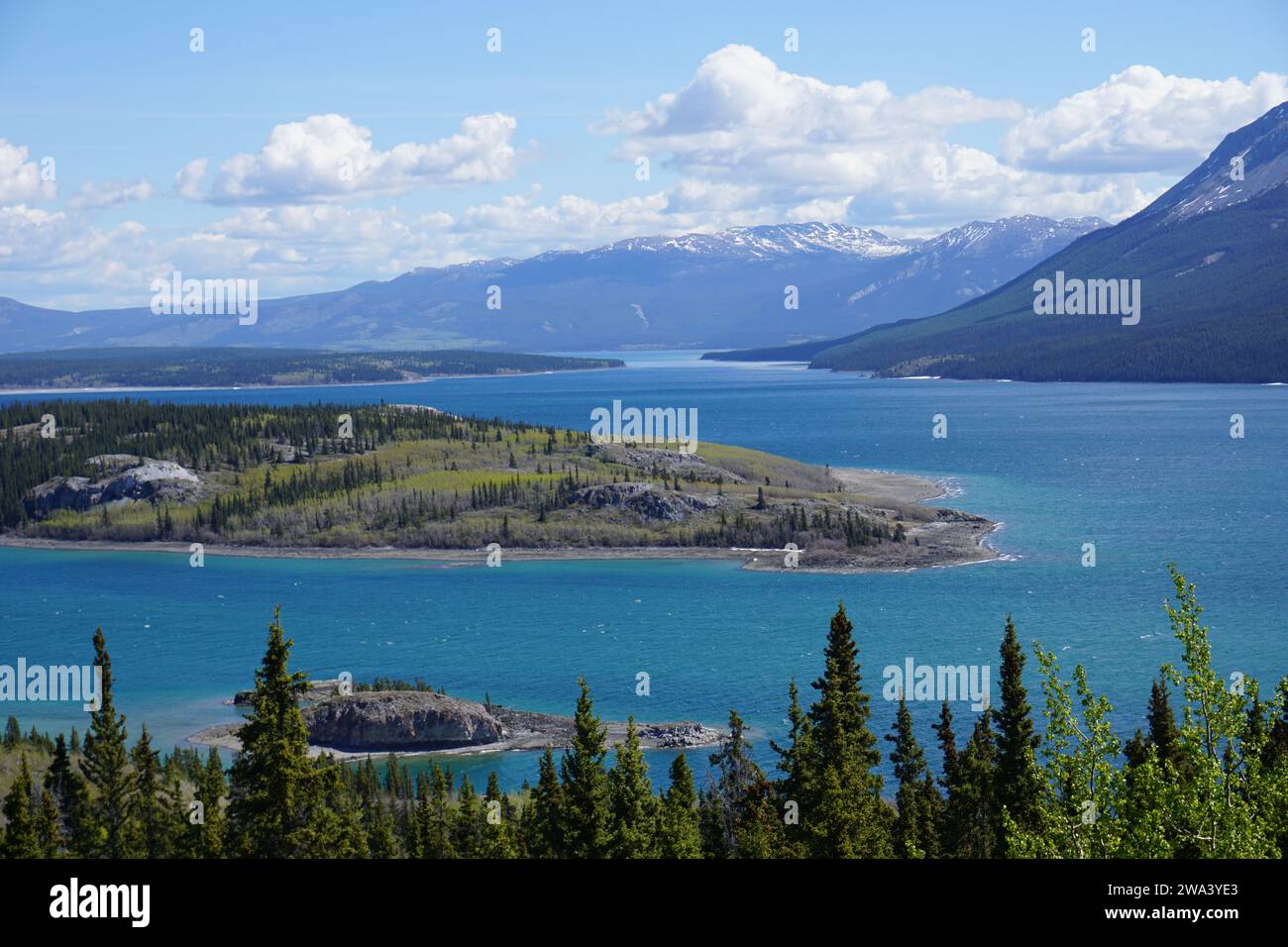 Emerald Lake, Yukon also known as Rainbow Lake. Emerald Green water is ...