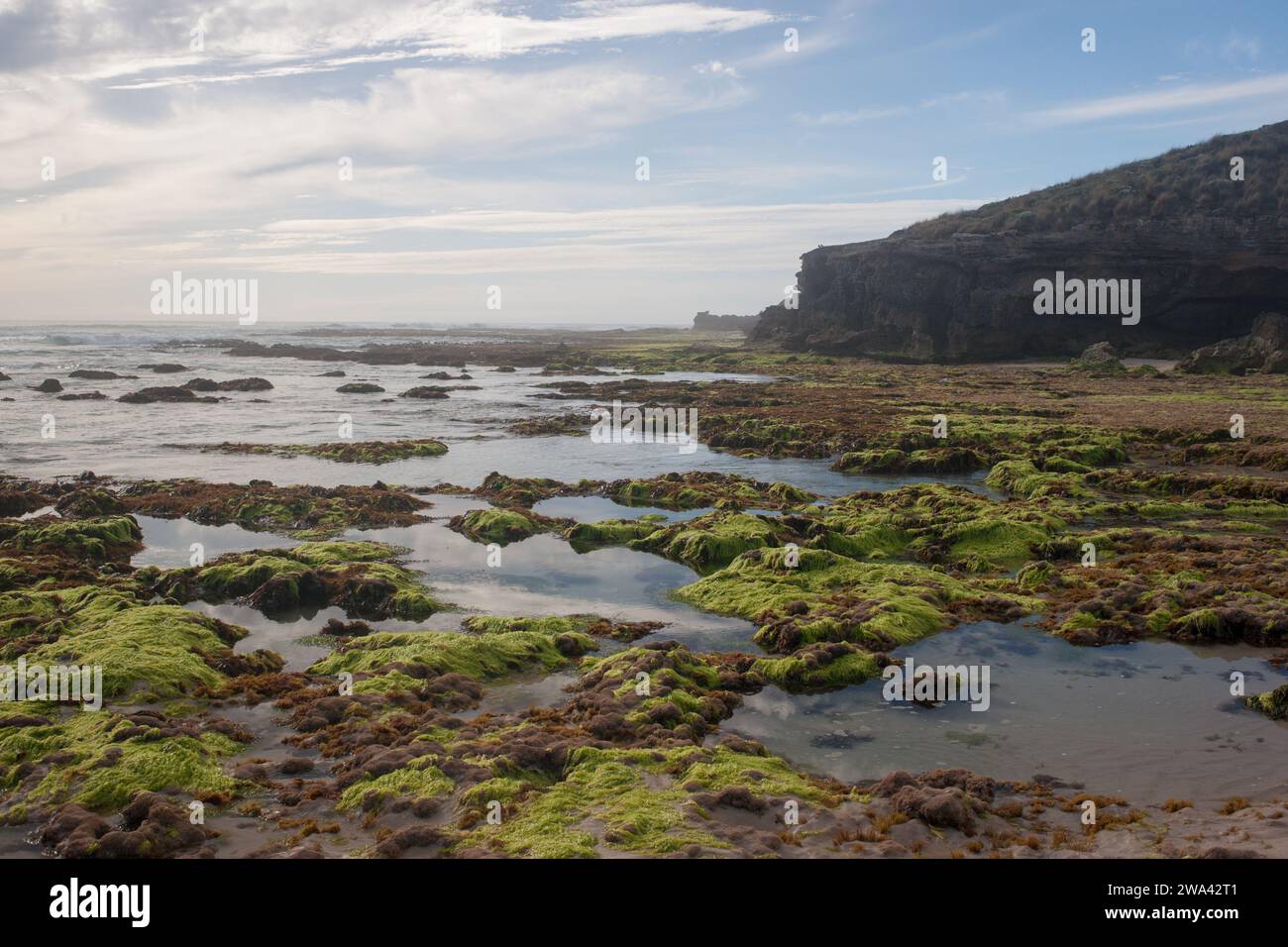Stony rise beach is a secluded and remote back beach a few kilometers ...