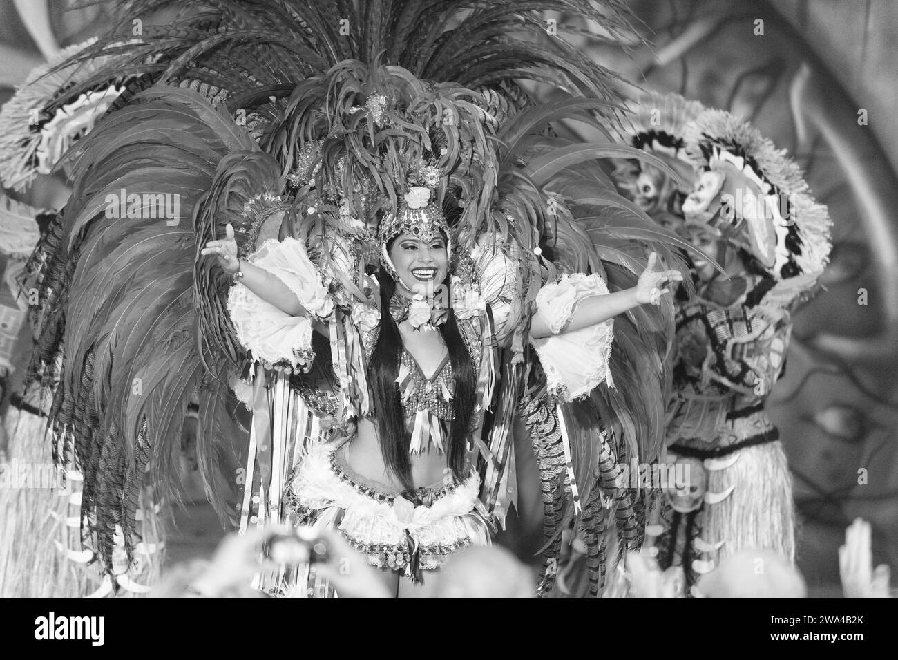 2,000+ Brazilian Carnival Stock Illustrations, Royalty-Free