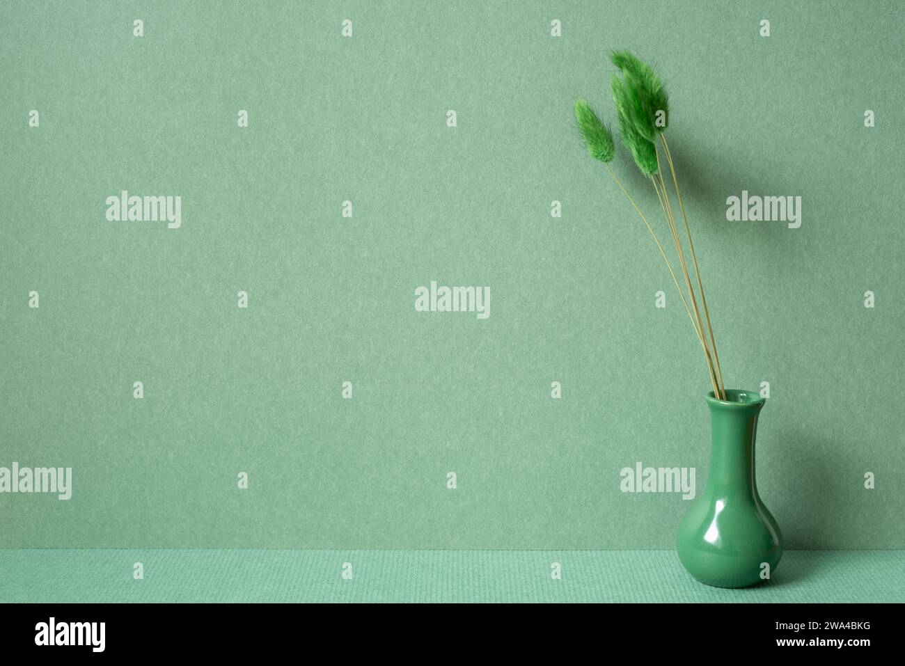 Vase of Lagurus ovatus tail grass plant on table. green wall background. minimal interior Stock Photo