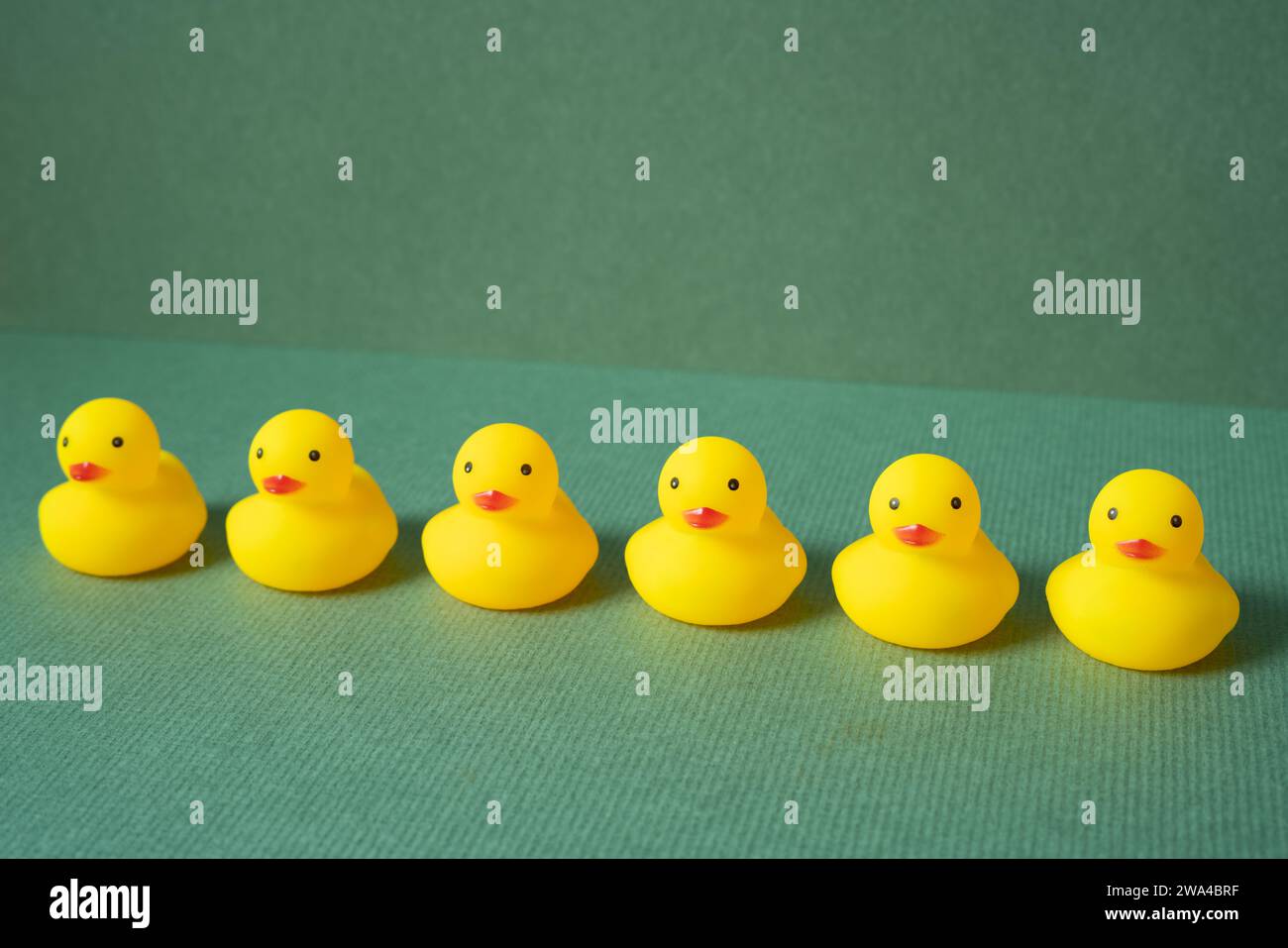 Row of yellow rubber duck doll on green background. teamwork leadership concept Stock Photo