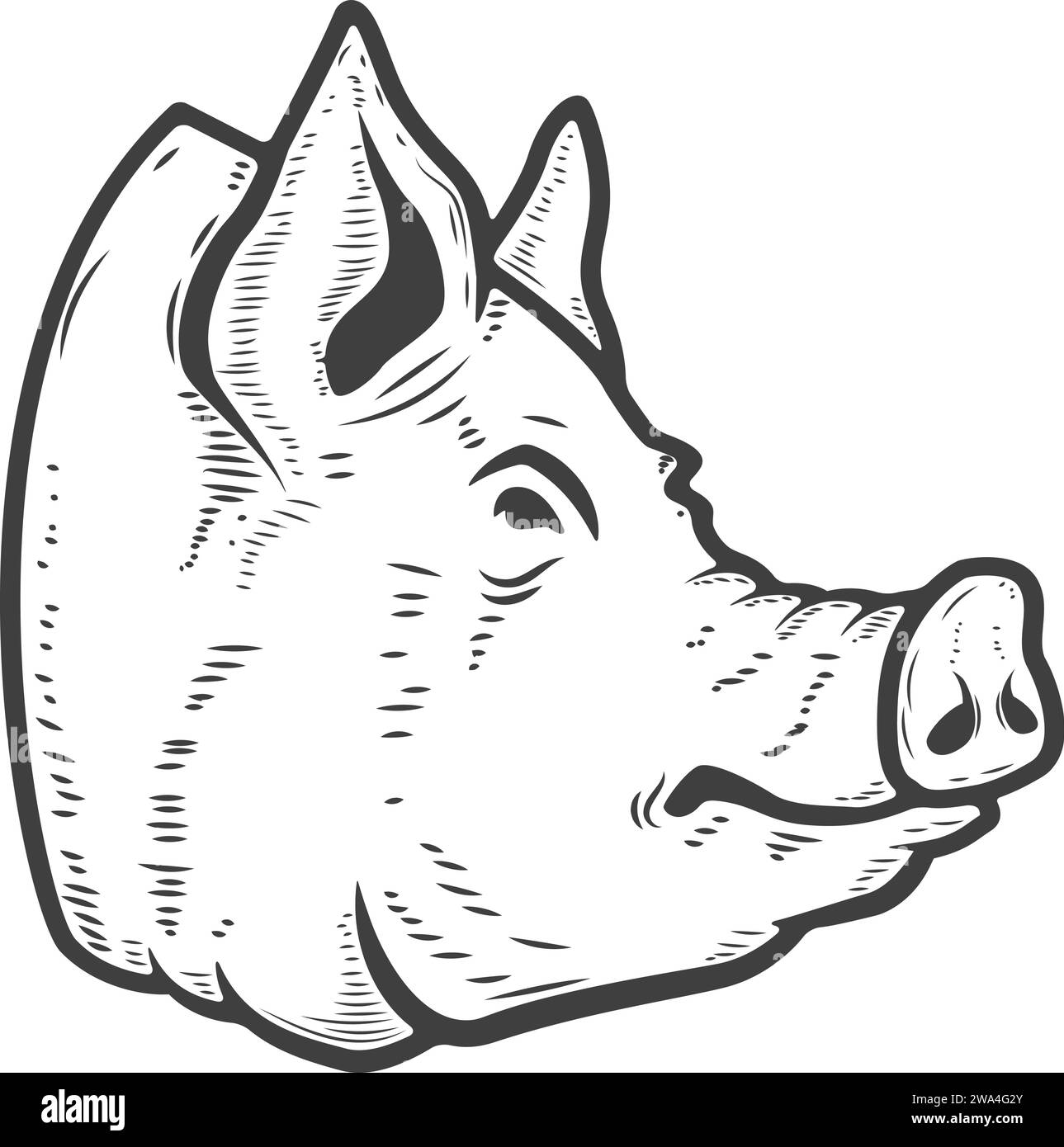 Illustration of a pig head isolated on white background. Pork meat ...
