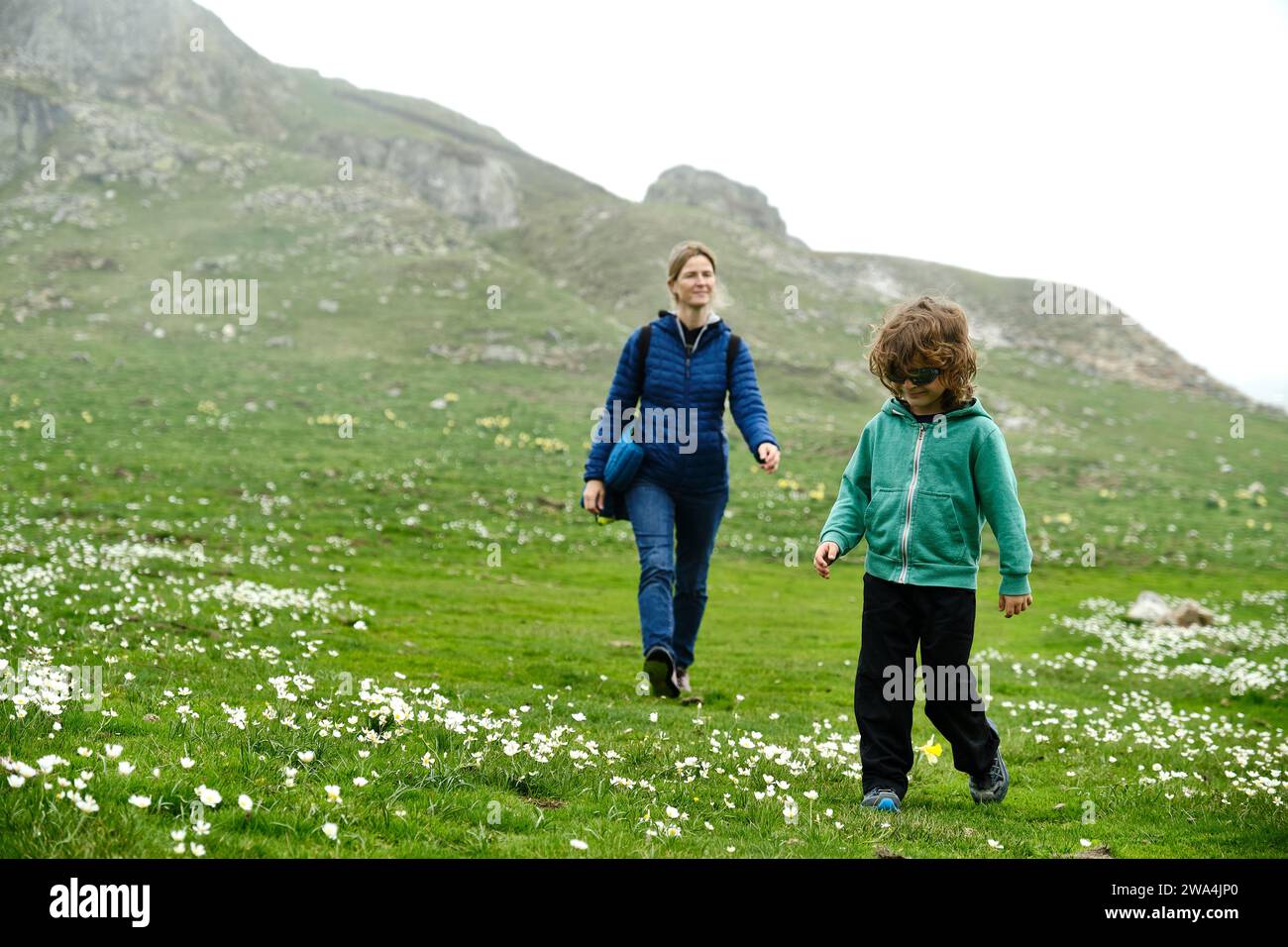 Child walking through field flowers hi-res stock photography and images ...