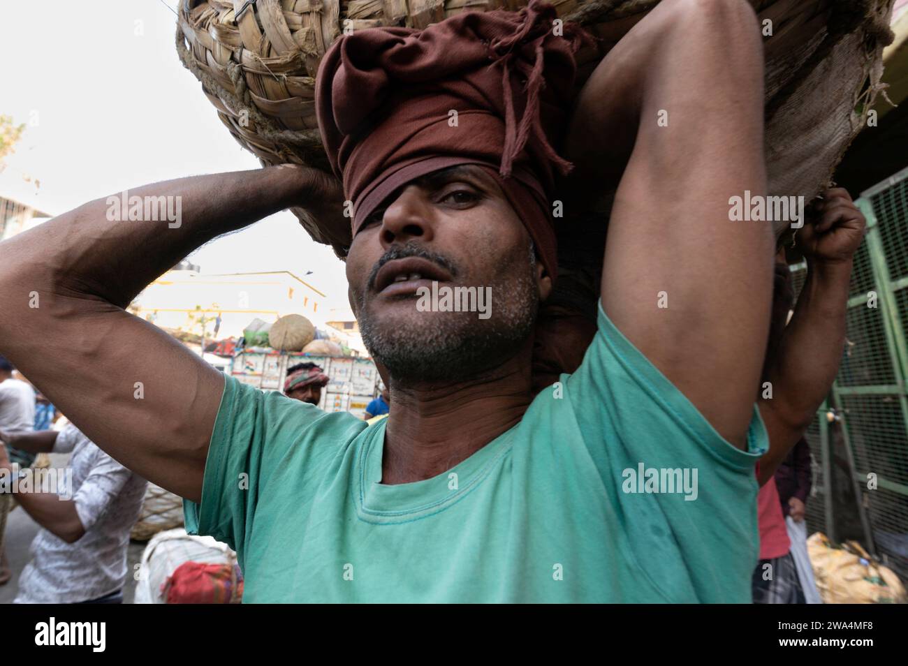 IND , INDIEN : Traeger  Träger  transportieren eine schwere Last auf einem Markt in Kalkutta / Kolkata , 15.12.2023 IND , INDIA : Porters are carrying a heavy load / weight on a market in Calcutta / Kolkata , 15.12.2023 *** IND , INDIA Porters are carrying a heavy load weight on a market in Calcutta Kolkata , 15 12 2023 IND , INDIA Porters are carrying a heavy load weight on a market in Calcutta Kolkata , 15 12 2023 Stock Photo