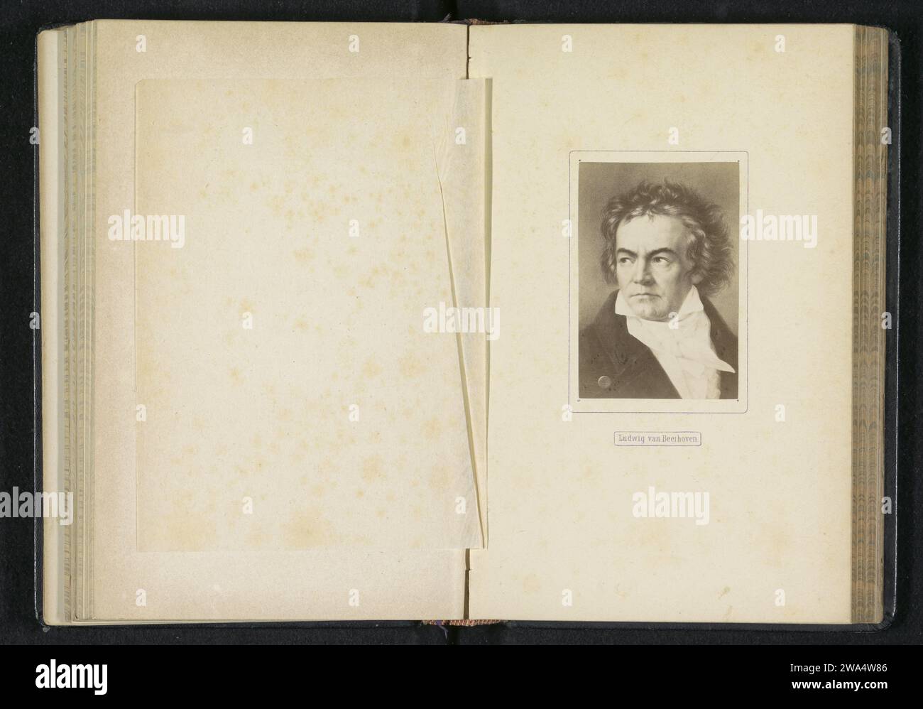 Photo production of a portrait by Ludwig van Beethoven, Anonymous, c. 1866 - in or before 1876 photograph   photographic support albumen print composer Stock Photo