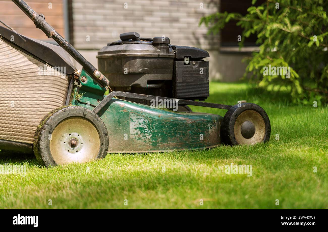 Lawn mower mows the grass on a sunny day. Garden care concept. Close up. Stock Photo