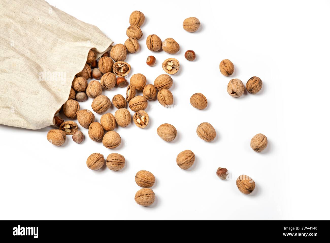 Large bag of burlap with walnuts and hazelnuts. Nuts scattered on a white background. Isolated on white. Stock Photo