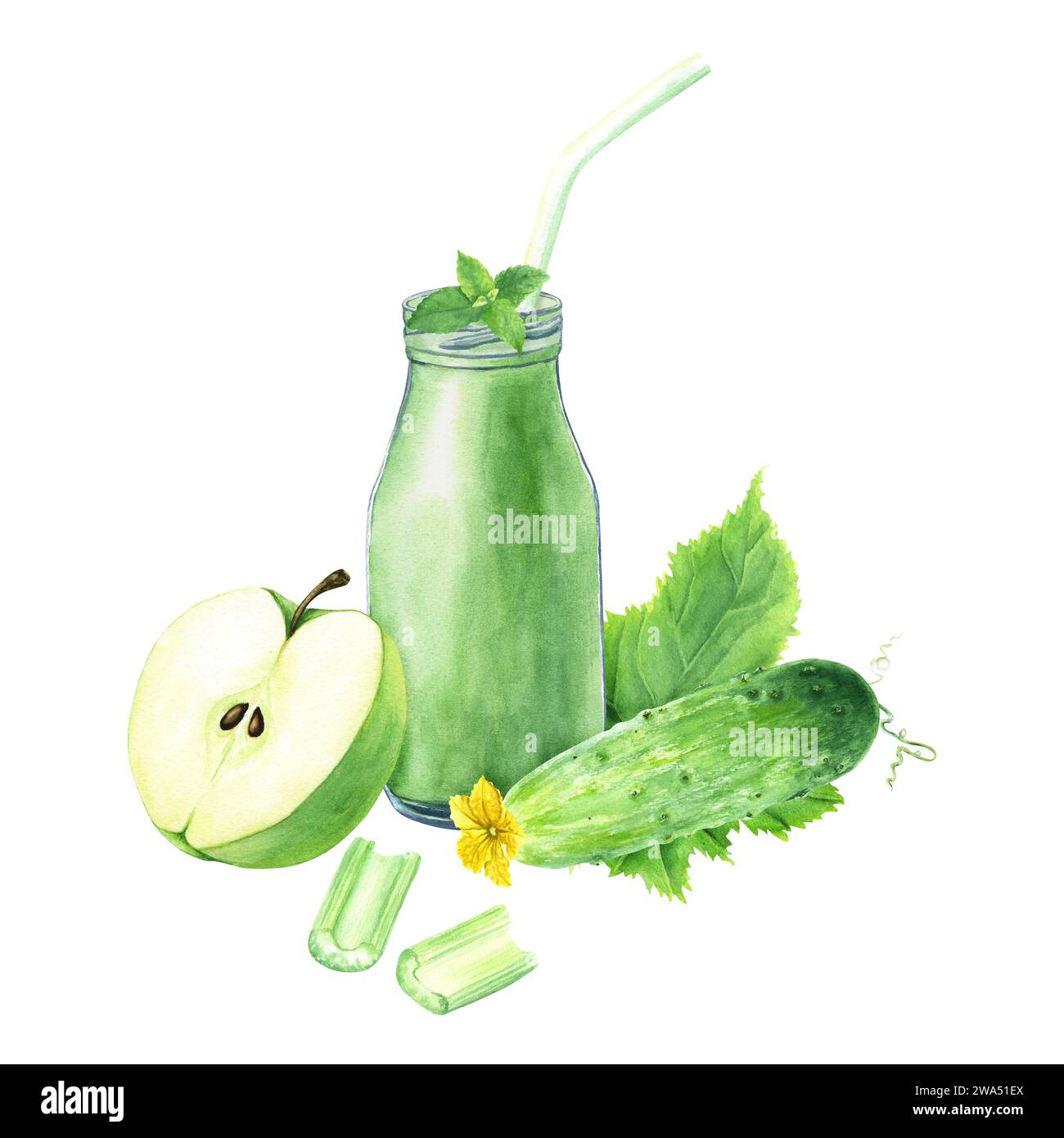 Composition with green smoothie, apple, cucumber, mint and celery