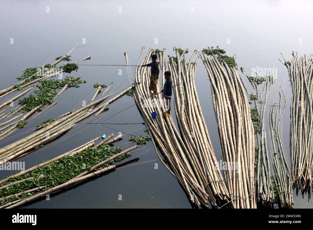 Dhaka, Dhaka, Bangladesh. 2nd Jan, 2024. Two boys are fishing with