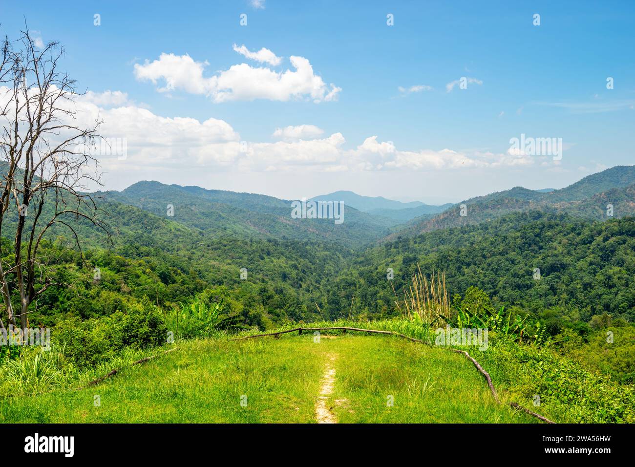 Beautiful scenic of green forest landscape at Kew Krathing view point in Maewong International Park, Kamphaeng Phet, Thailand. Stock Photo