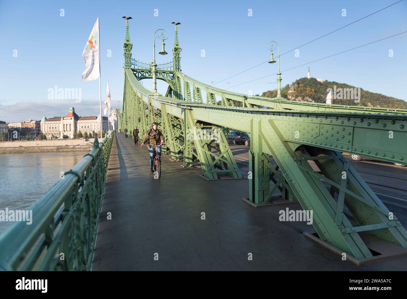 Hungary, Budapest, cyclist on the Liberty Bridge over the river Danube. Stock Photo