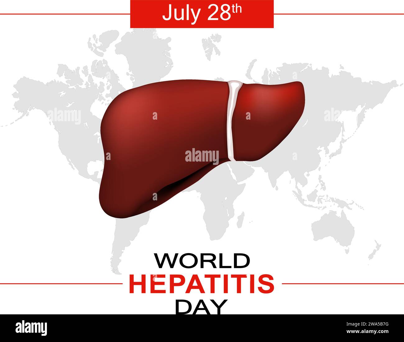 World hepatitis day. Human liver on a gray map background. Vector poster Stock Vector
