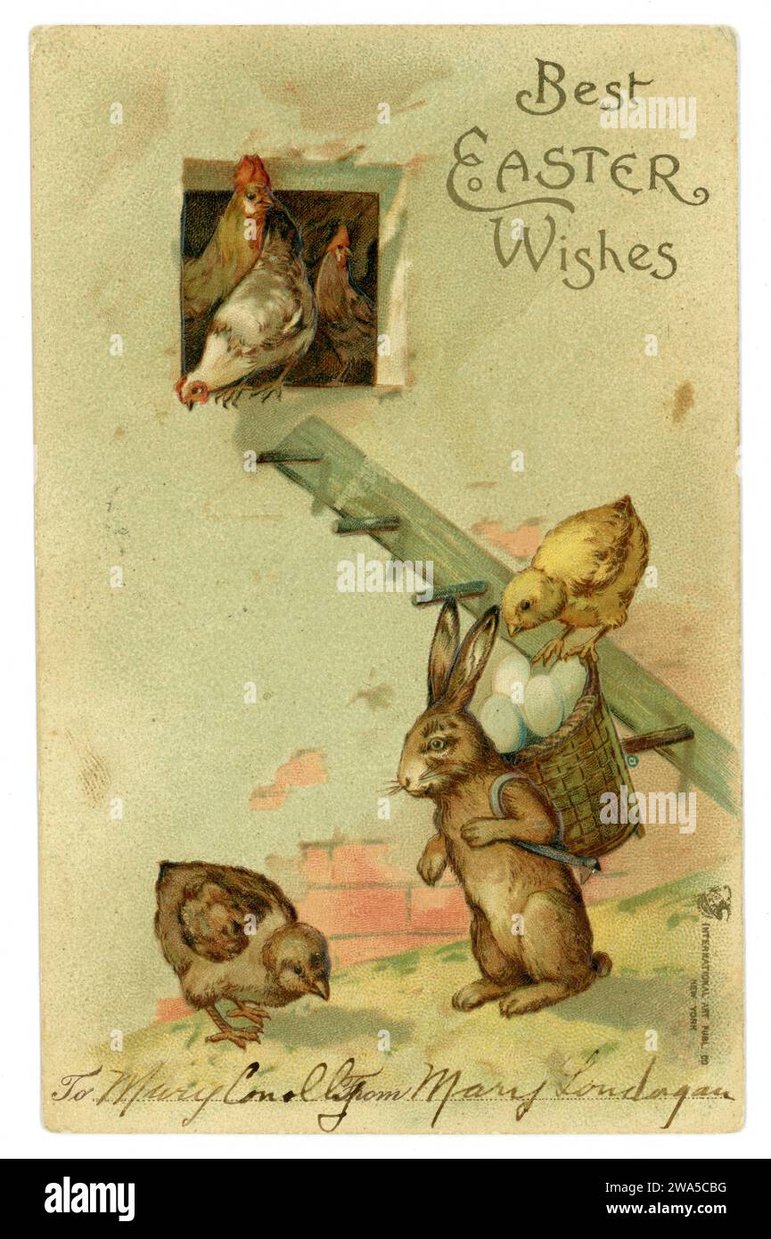 Original Edwardian era early American Easter greetings card, hares collecting eggs from hen coop and chicks, posted Northampton, U.S.A. 1906. Stock Photo