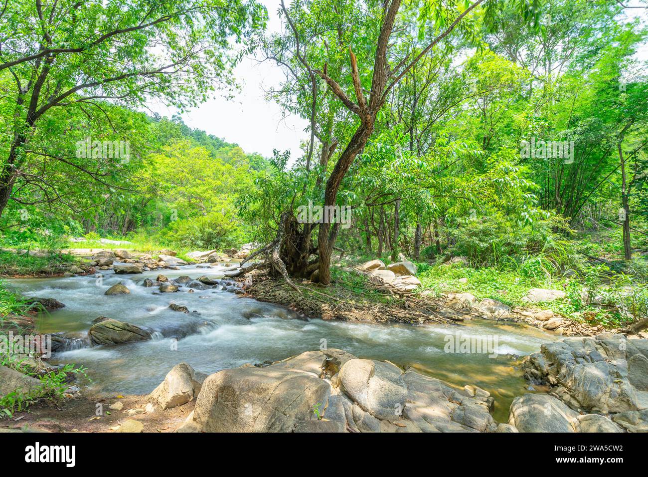 Beautiful scenic of waterfalls in Khlong Wang Chao National Park, Kamphaeng Phet, Thailand. Stock Photo