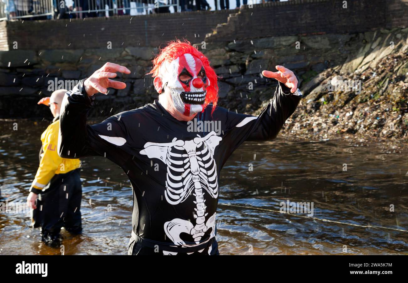 New Year Dook at Rhu Marina, Helensburgh, Scotland. Man dressed in skeleton costume. Stock Photo