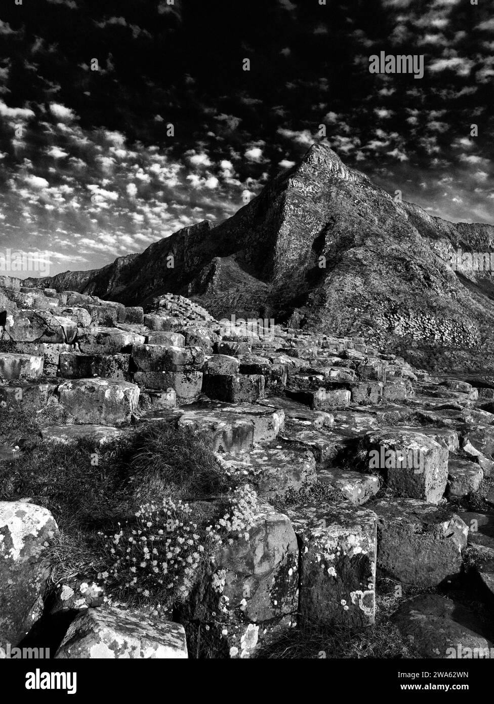 the UNESCO World Heritage Site, Giant's Causeway,North Coast, County