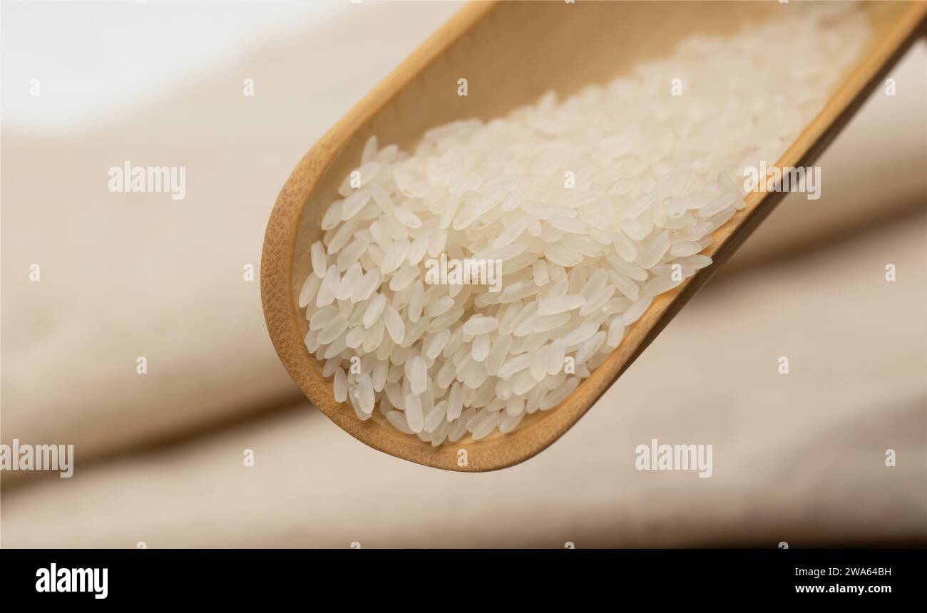 Image of Asian Rice Stock Photo - Alamy