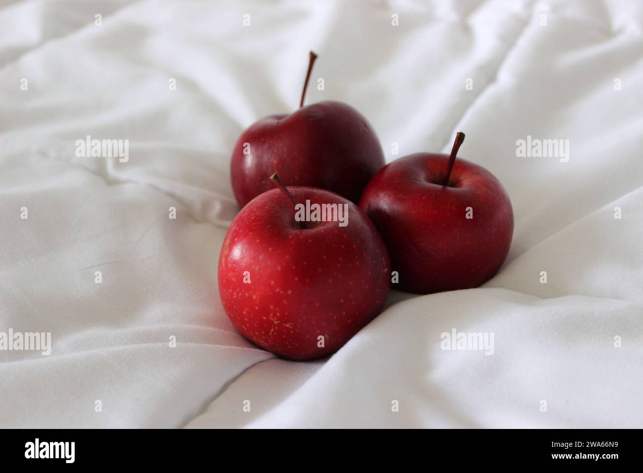 Three fresh red apples on a clean white blanket stock photo for backgrounds Stock Photo