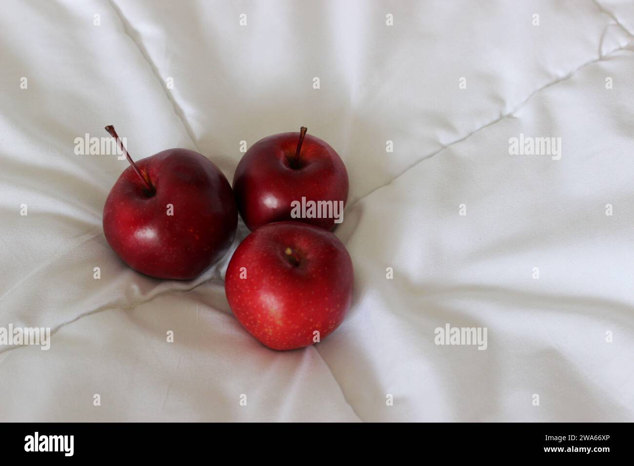 Three red ripe apple fruits on a quilted blanket at a side of image concept for logo or titles Stock Photo