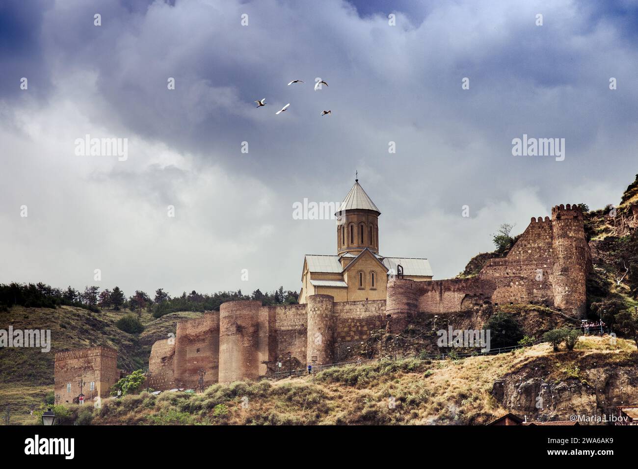 Coolview hi-res stock photography and images - Alamy