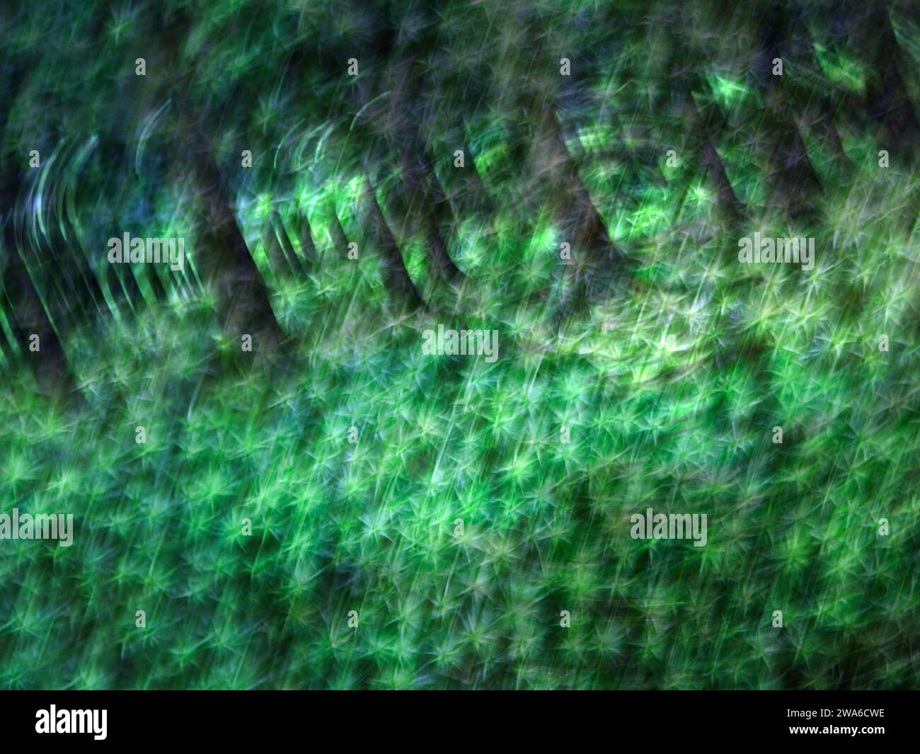 Abstract forest, alienated Stock Photo
