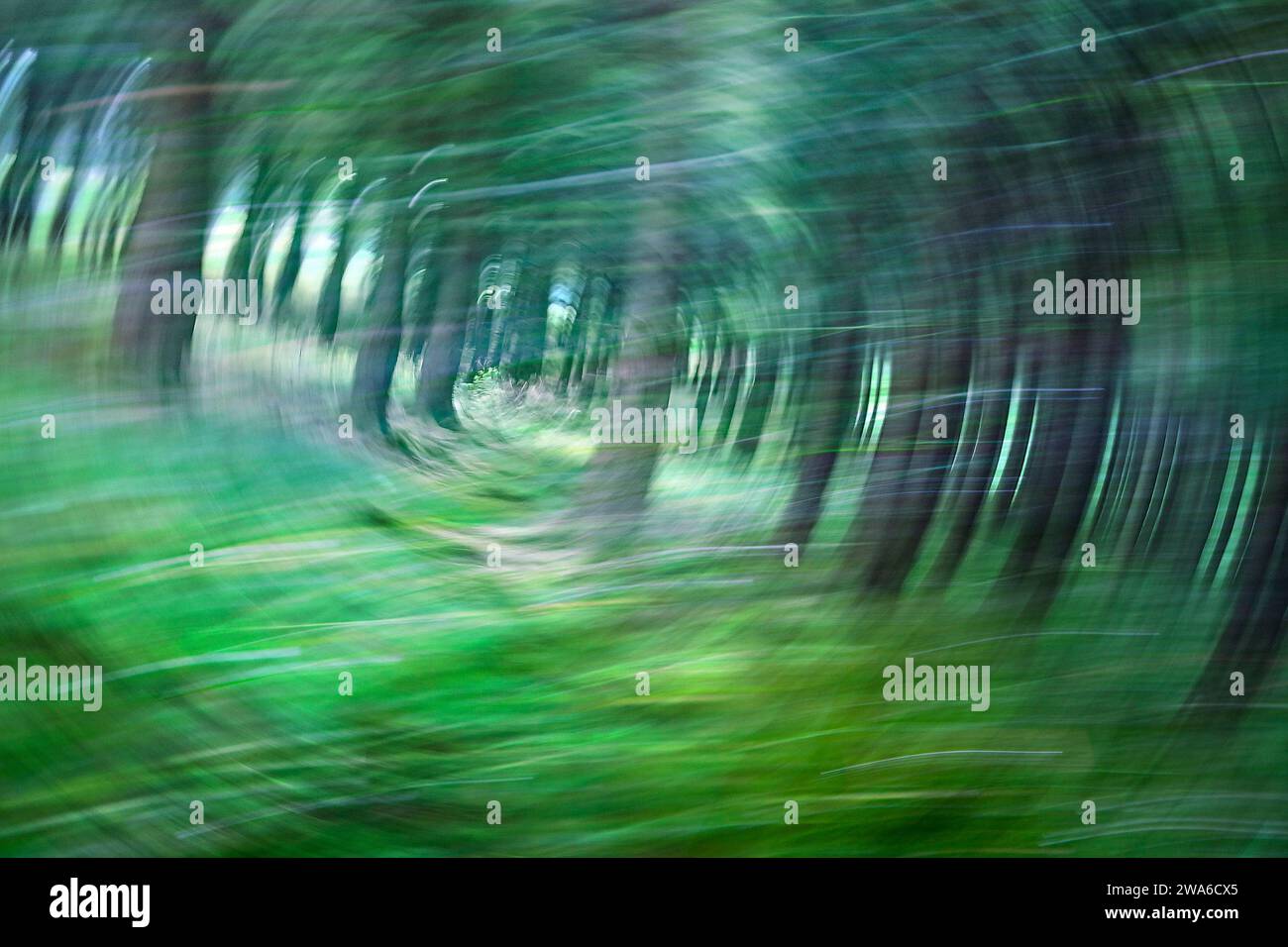 Abstract forest, alienated Stock Photo