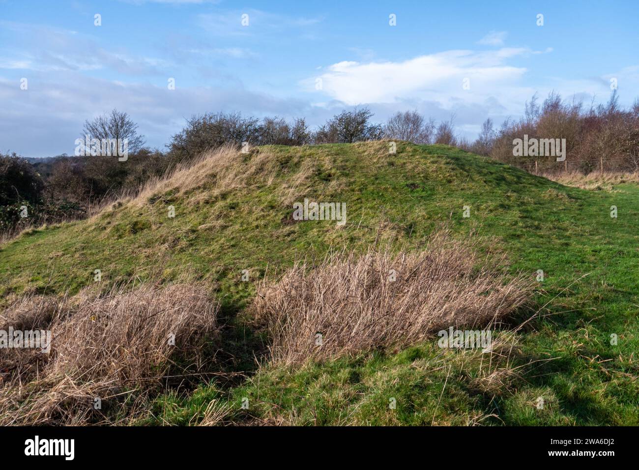 Bronze Age Round Barrows or tumuli on Magdalen Hill Down nature reserve near Winchester, England, UK. These are Scheduled Ancient Monuments. Stock Photo