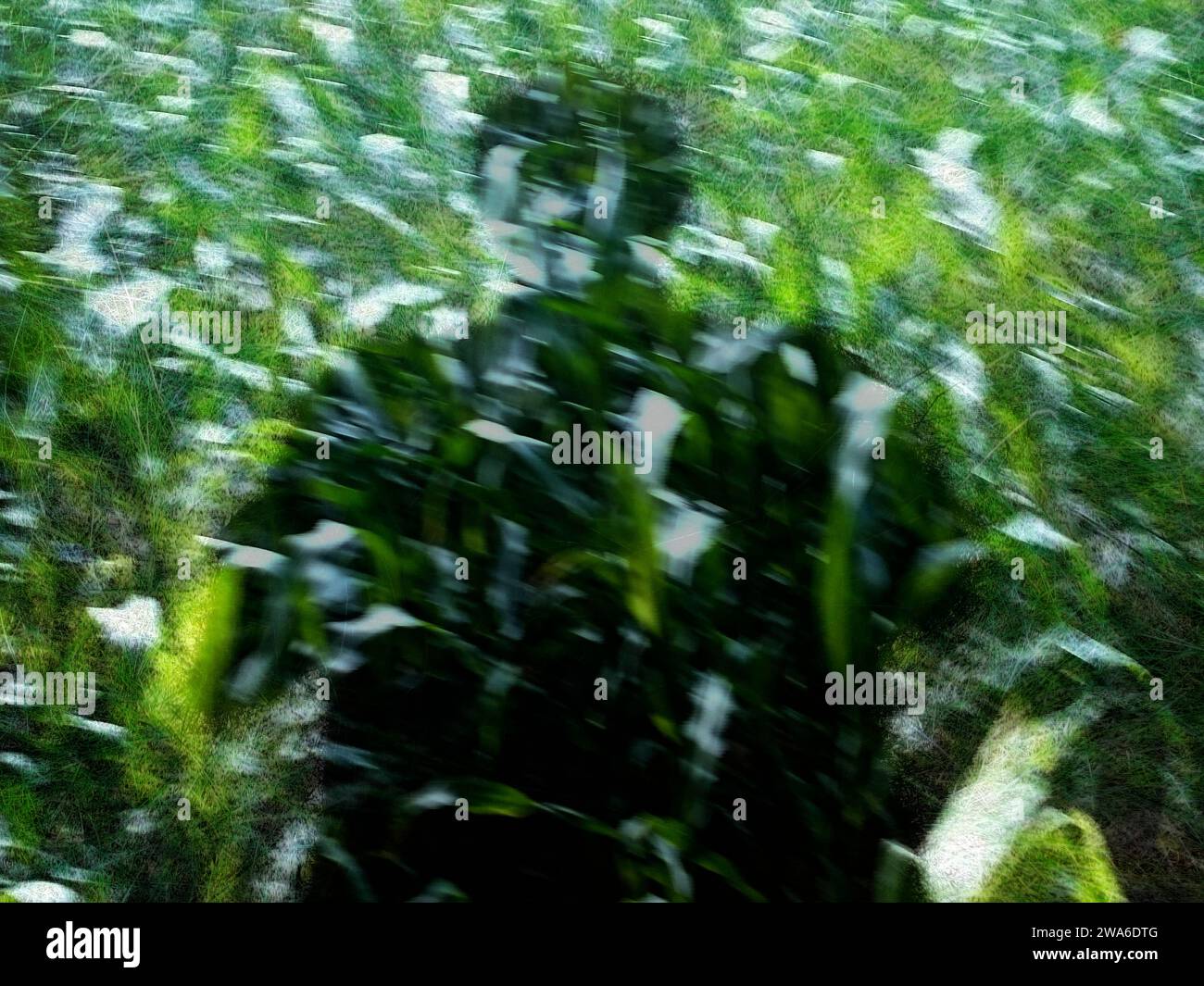 Abstract shadow, alienated Stock Photo - Alamy