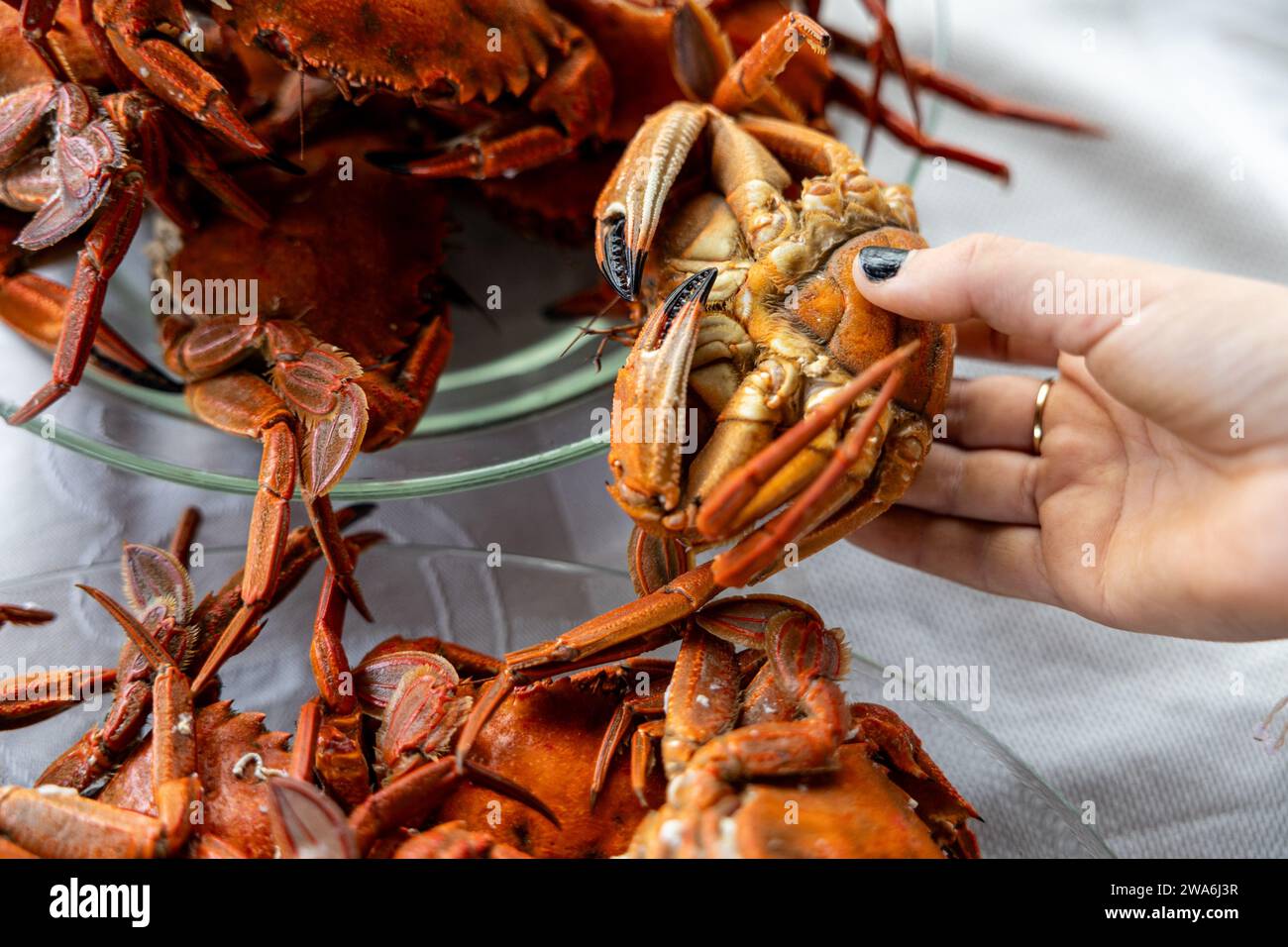 Plate of several sea crabs with girl's hand holding one of them Stock Photo