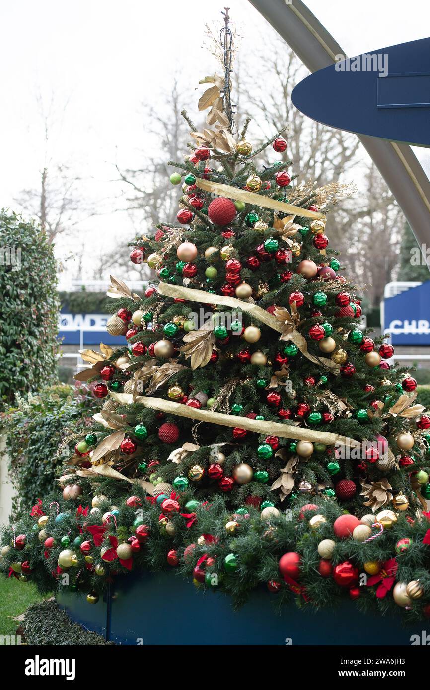 Ascot, Berkshire, UK. 22nd December, 2023. A sparkly real Christmas