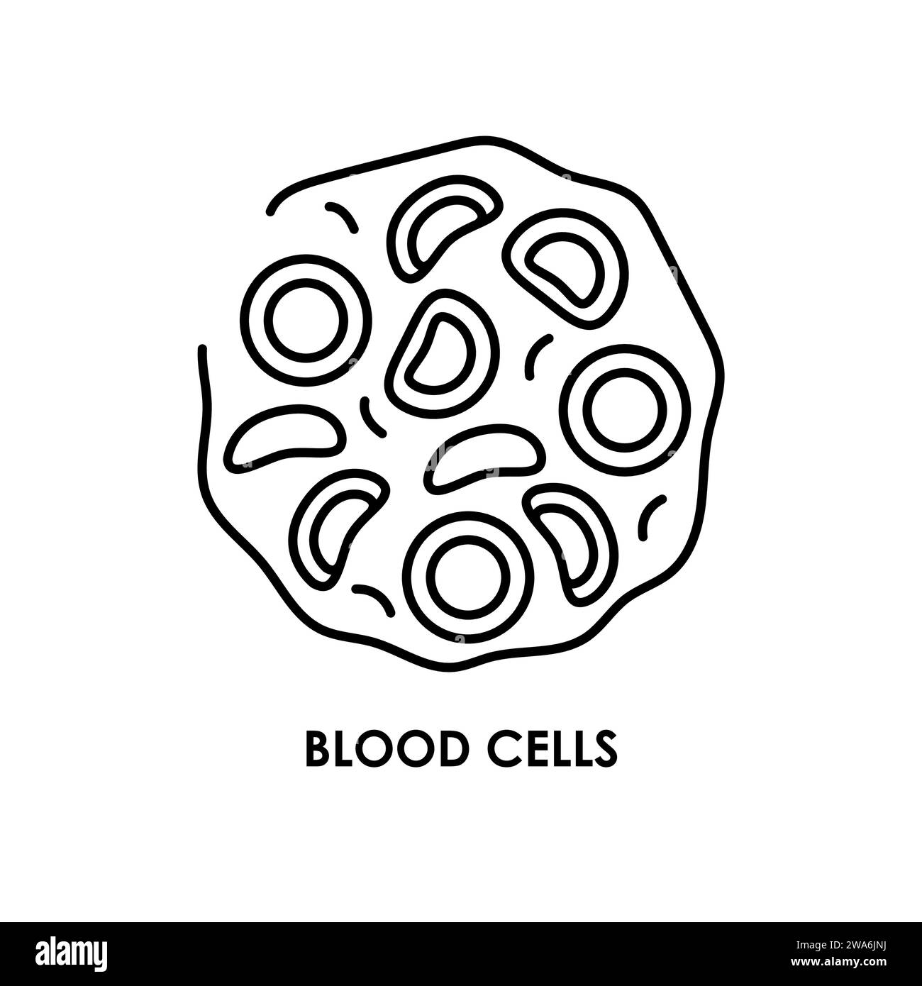 Blood cells color line icon. Microorganisms microbes, bacteria. Vector isolated element. Editable stroke. Stock Vector