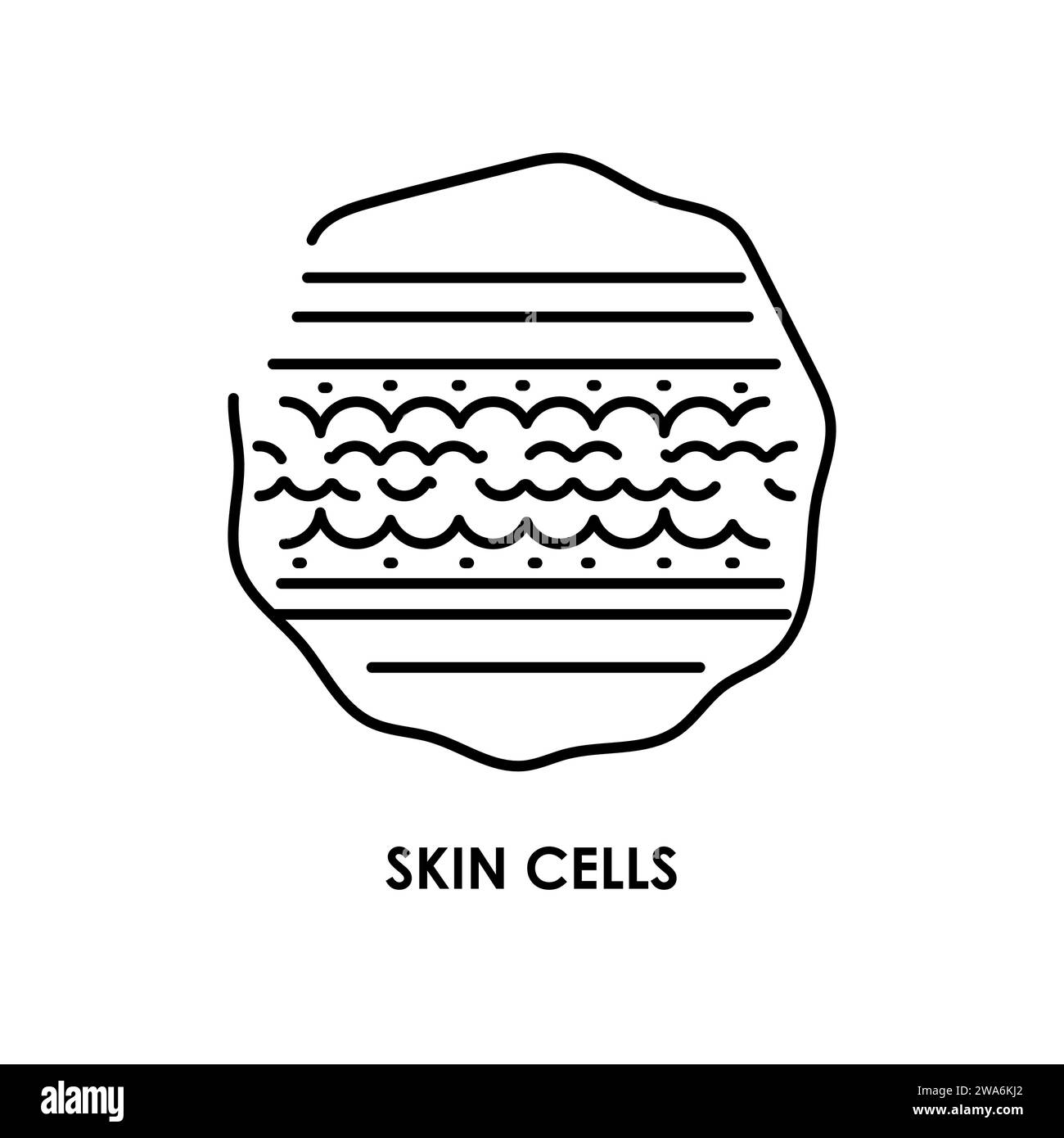 Skin cells color line icon. Microorganisms microbes, bacteria. Vector isolated element. Editable stroke. Stock Vector