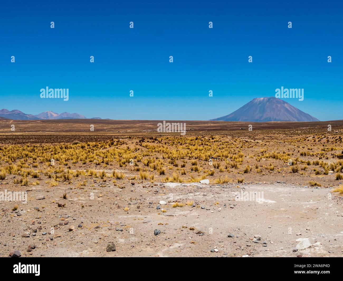 Impressive view of volcano Misti as seen from the highlands of Salinas Y Aguada Blanca National Reserve, Arequipa region, Peru Stock Photo