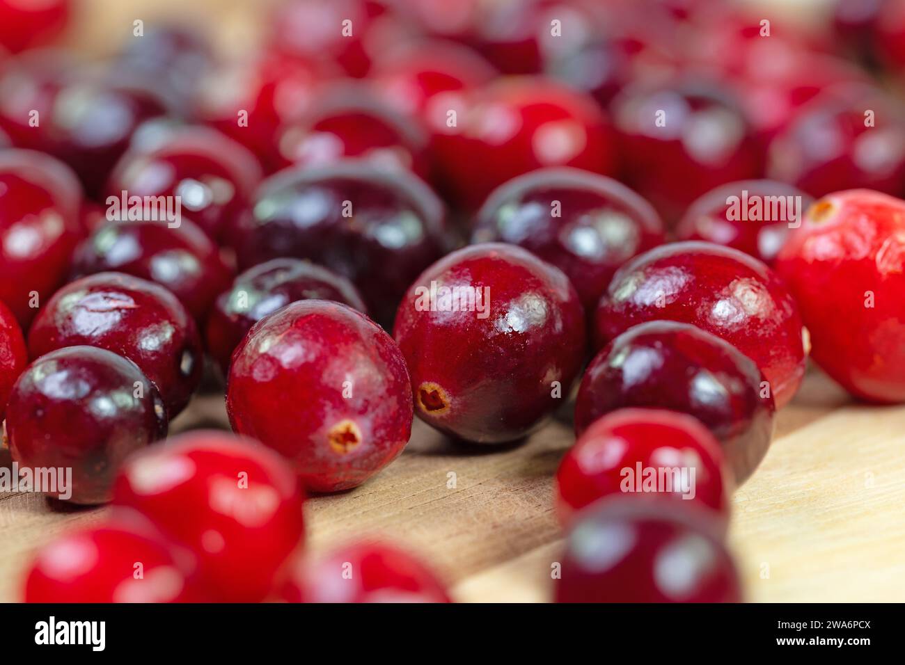 Large-fruited cranberries in a close-up Stock Photo