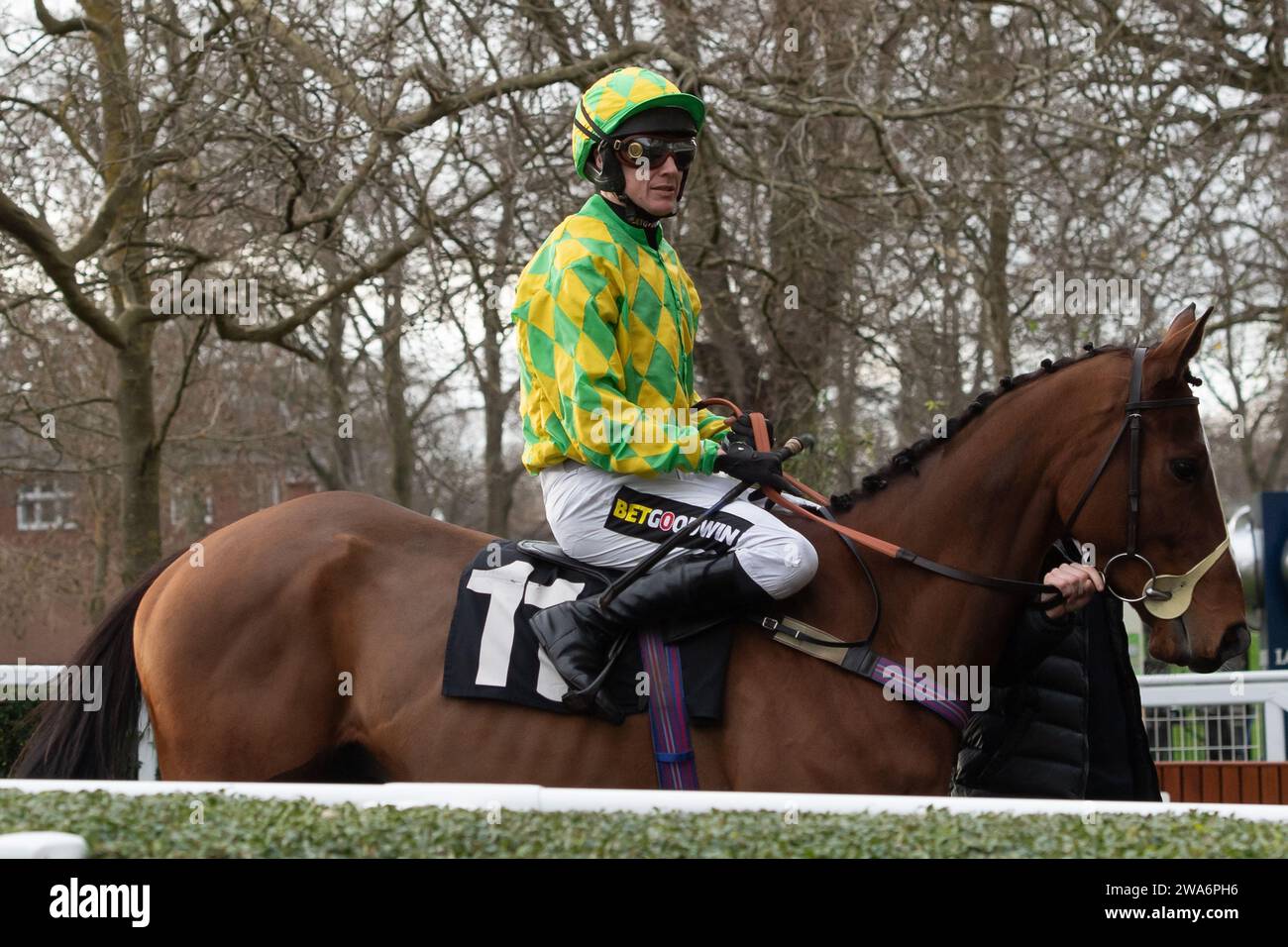 Trainer daniel obrien hi-res stock photography and images - Alamy