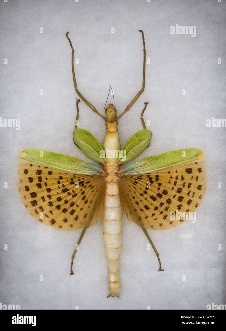 Edna Lawrence Nature lab at the Rhode Island School of Design in ...