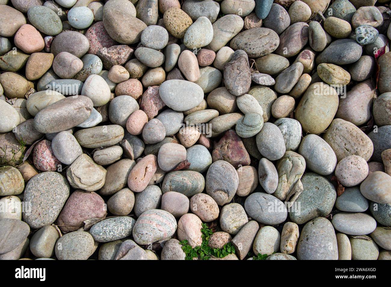 pebbles and stones, background concept. Stock Photo