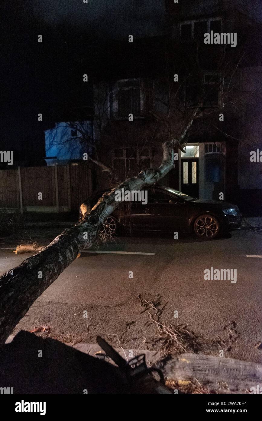 Beedell Avenue, Westcliff on Sea, Essex, UK. 2nd Jan, 2024. Strong winds from Storm Henk have blown a tree down onto a car and property, closing the road. Tree surgeons have begun work to remove the tree with police on hand Stock Photo