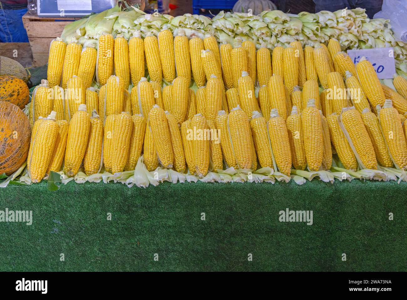 Corn on the Cob at Farmers Market Stall Stock Photo