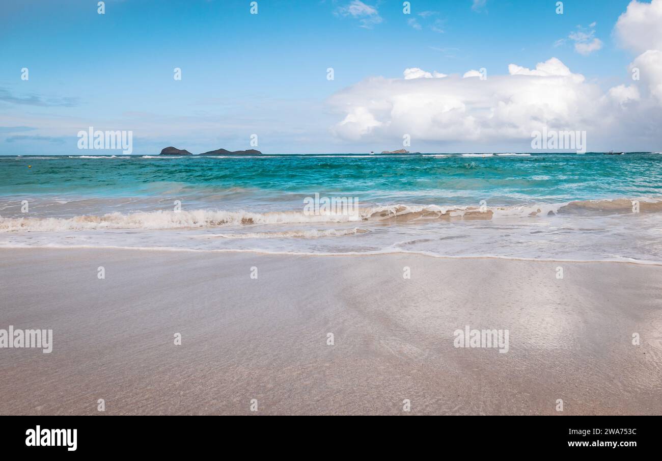 Tropical beach in Saint Barthelemy. Stock Photo