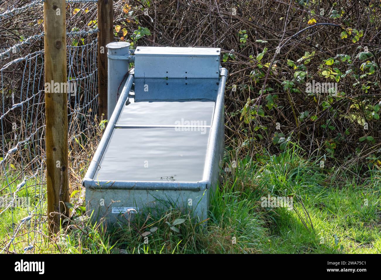 Cattle trough filled with drinking water for grazing livestock on a UK