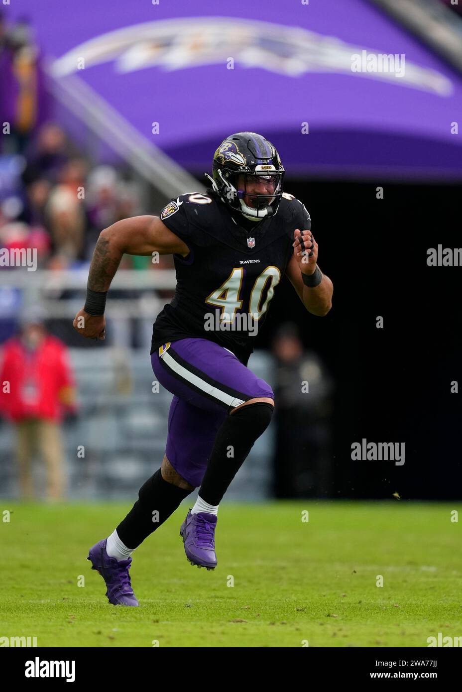 Baltimore Ravens' Malik Harrison in action during an NFL football game