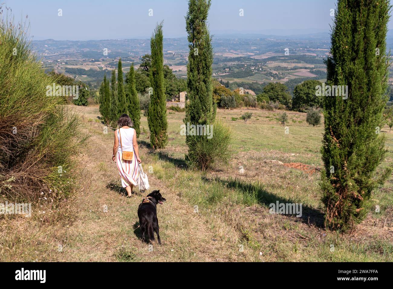 Italy Rural People Awoman walking with her dog on a rural path beetween Tuscan fields ...
