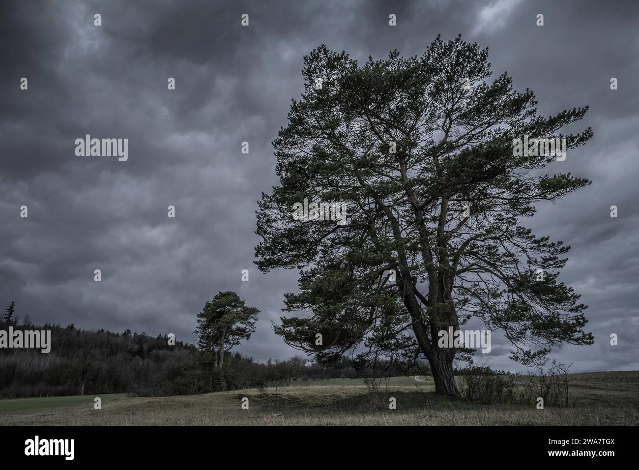Dramatic storm clouds in a rural landscape Stock Photo - Alamy