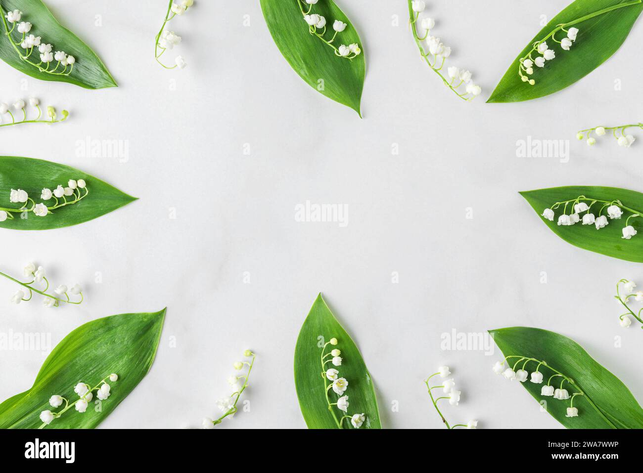 Flower composition. Frame made of lily of the valley flowers on white ...